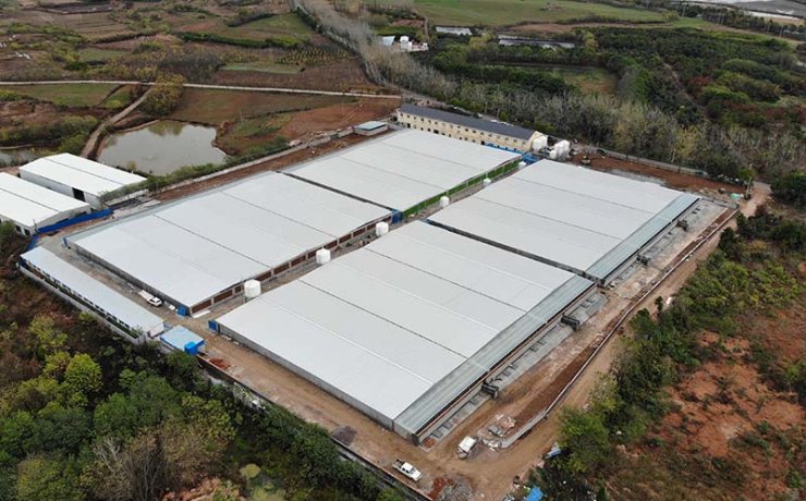 Animal Housing System (SowEase)