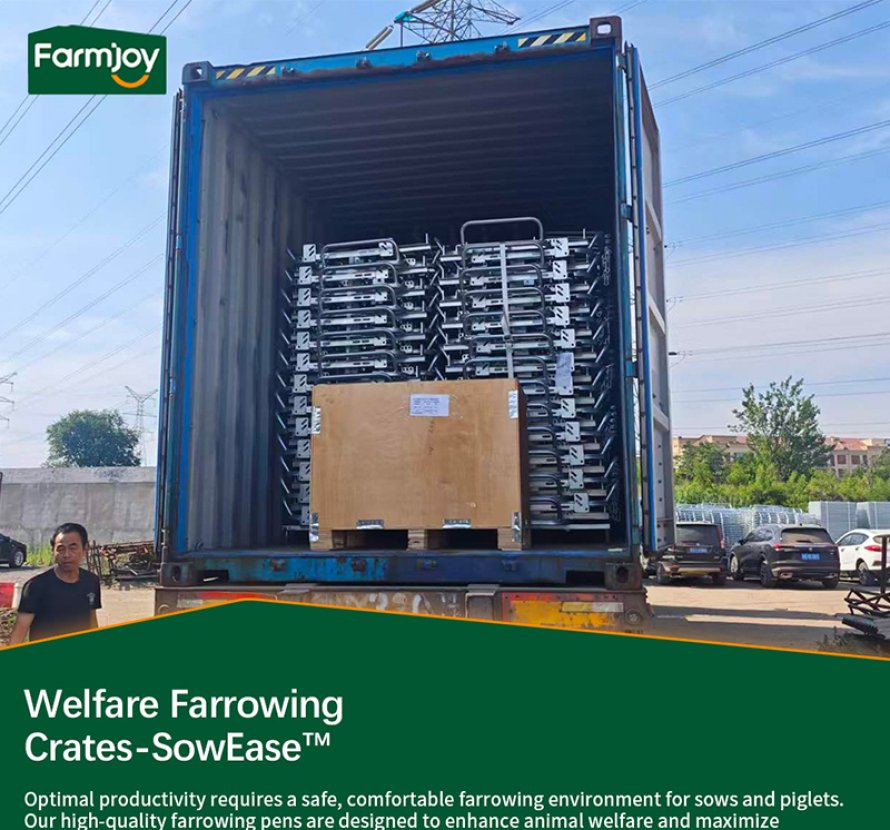 Packing & Container Loading for Overseas Delivery
