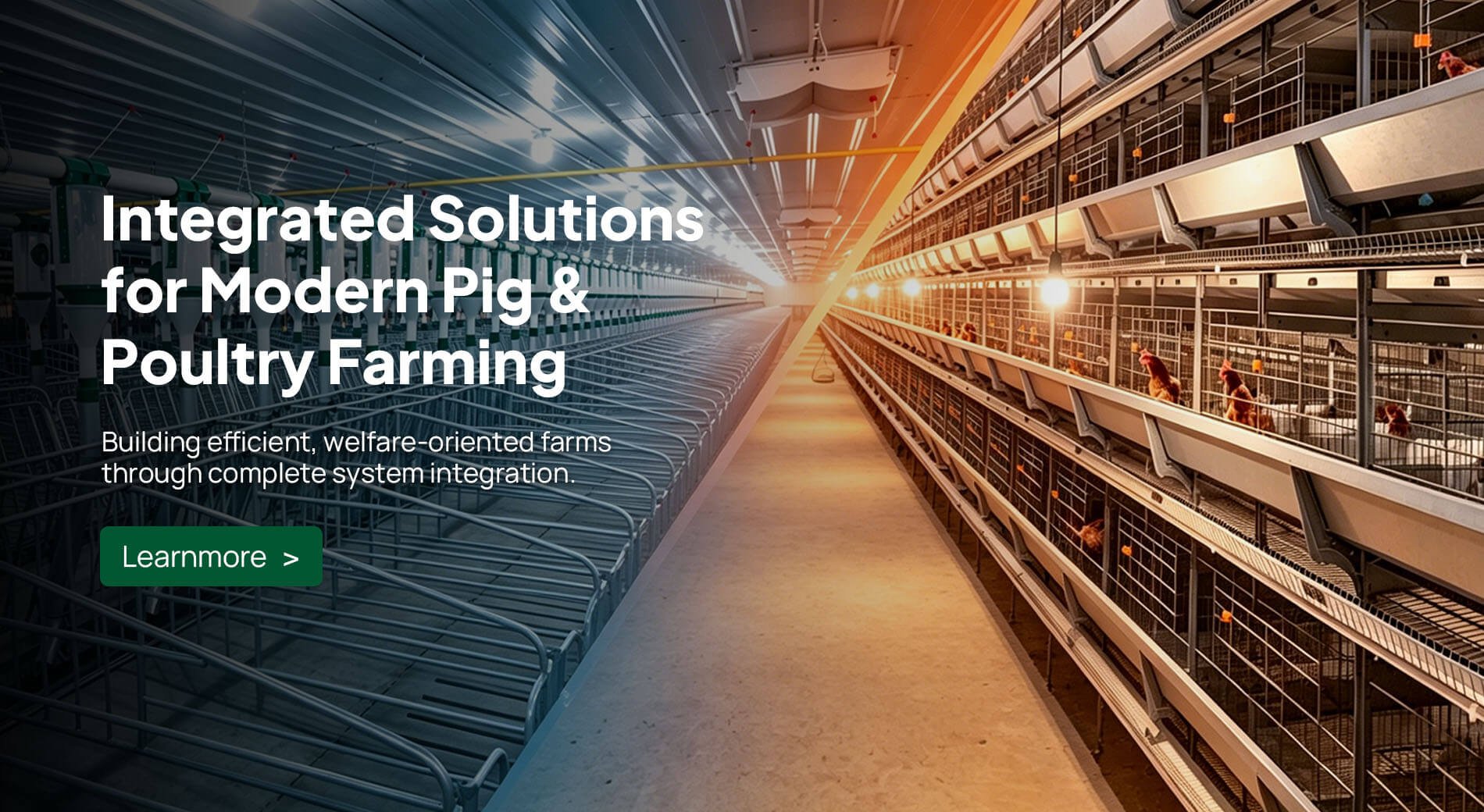 Integrated Solutions for Modern Pig & Poultry Farming