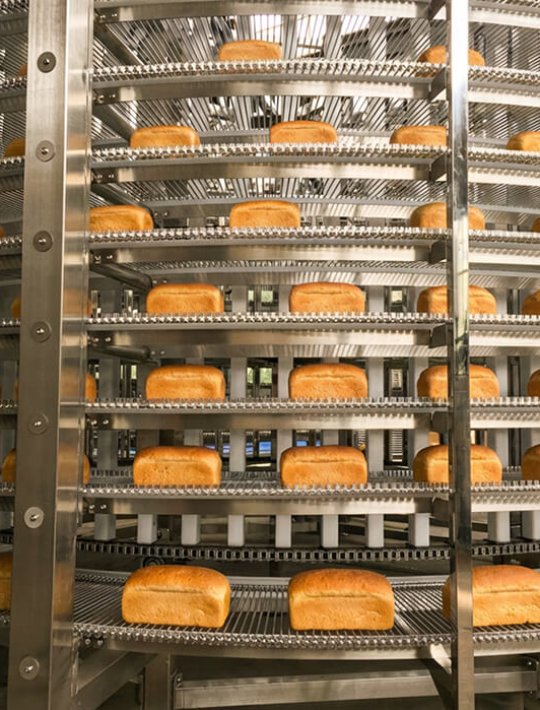 Enfoque en la seguridad alimentaria