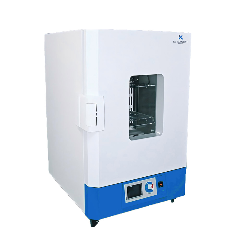 Electric Drying Oven 