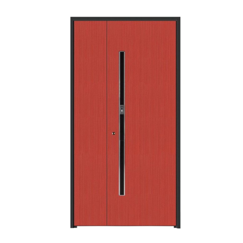 Double swing entrance door