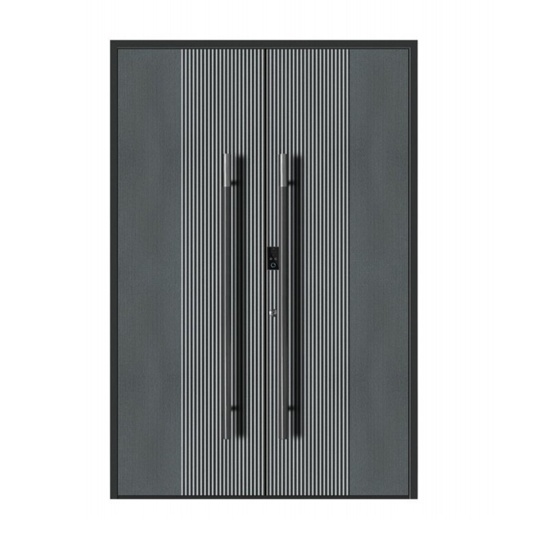 Double swing entrance door