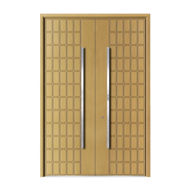 Double swing door