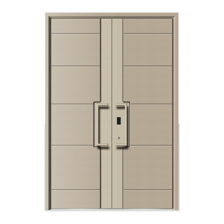 Double swing door