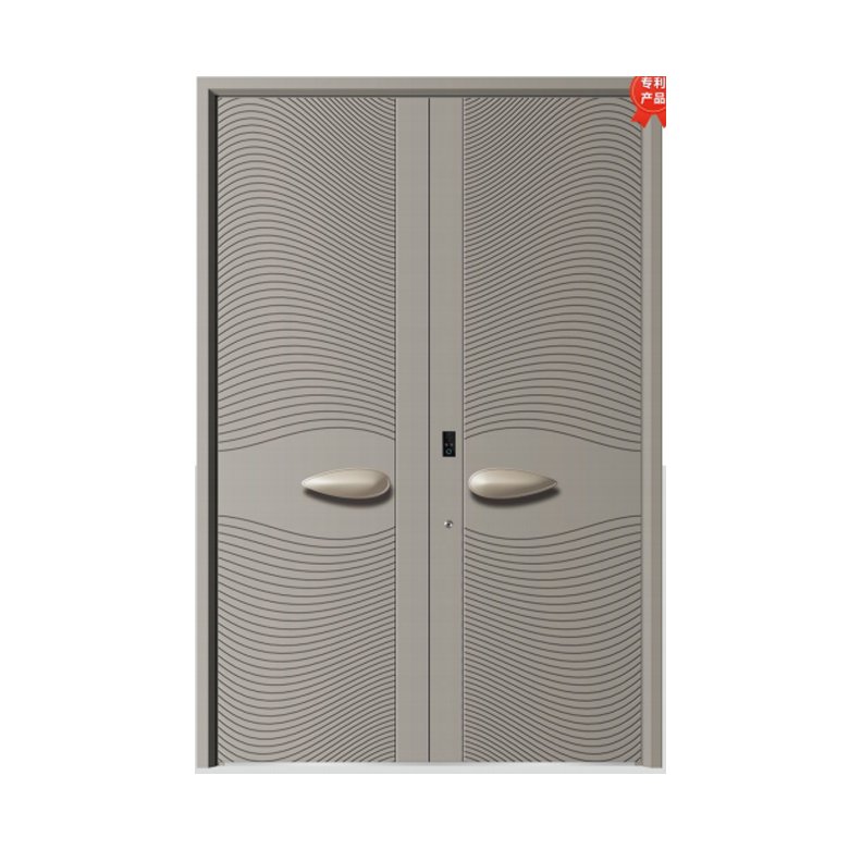 Double swing door