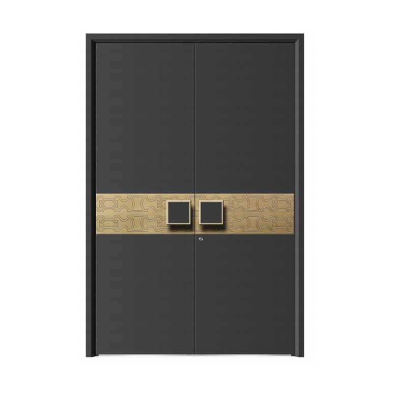 Double swing door