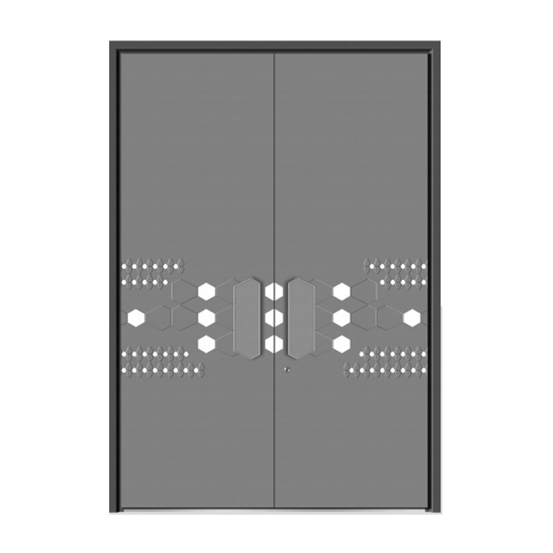 Double swing door