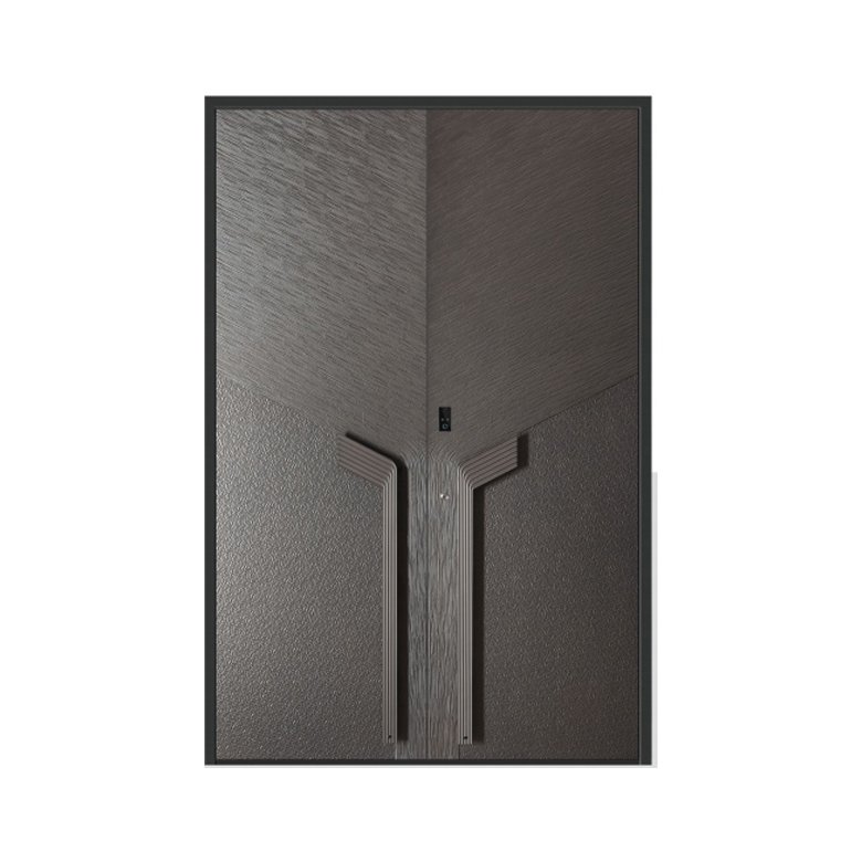 Double swing door