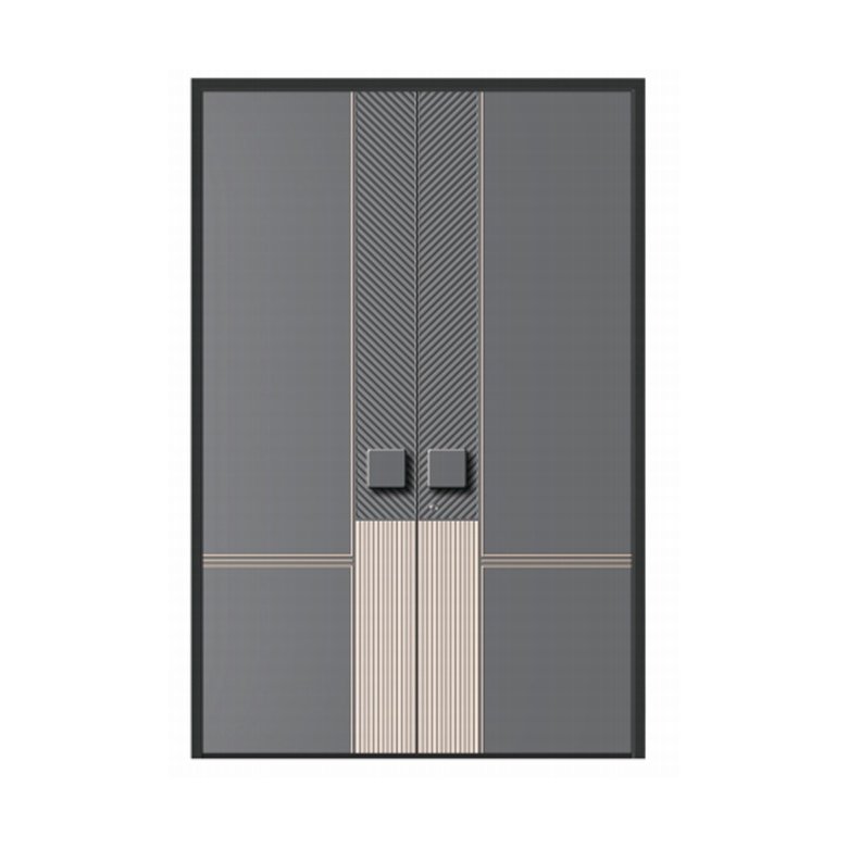 Double swing door