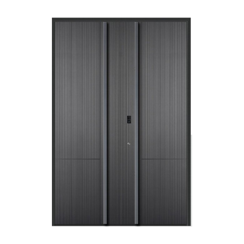 Double swing door