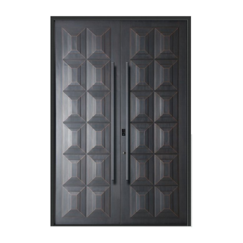 Double swing door