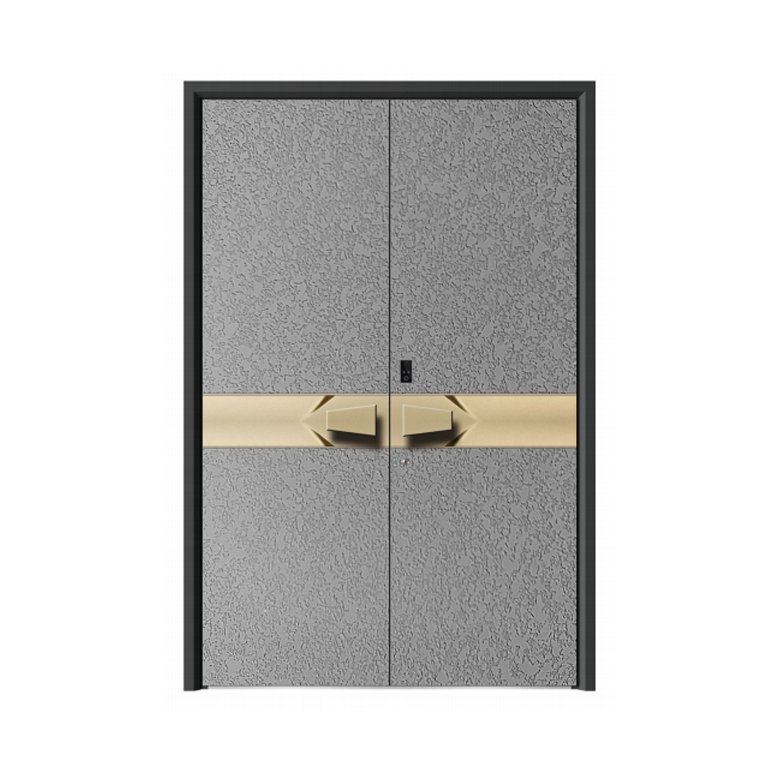 Double swing door