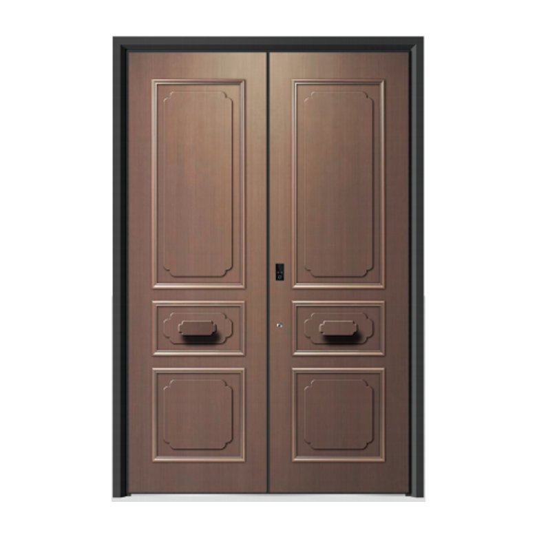 Double swing door