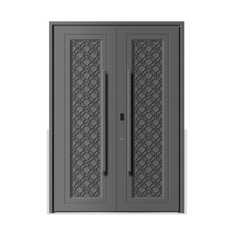 Double swing door