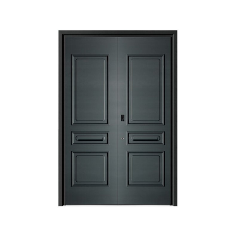 Double swing door