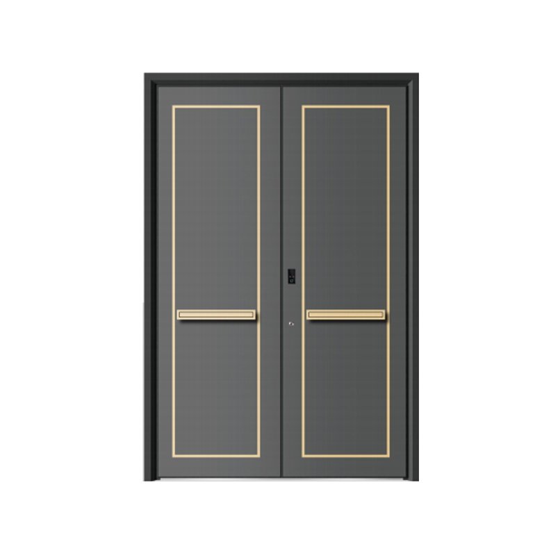 Double swing door