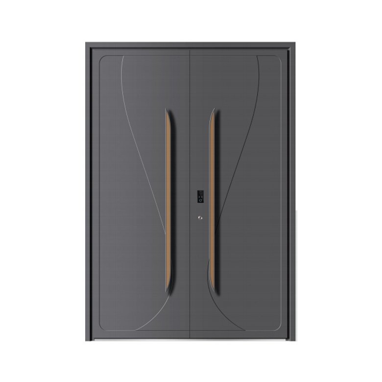Double Swing Door