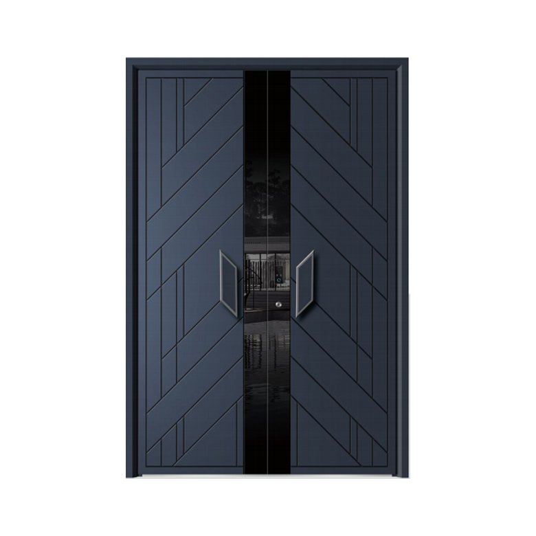 Double Swing Door