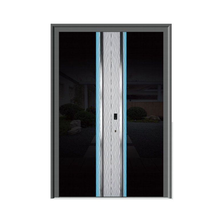 Double Swing Door