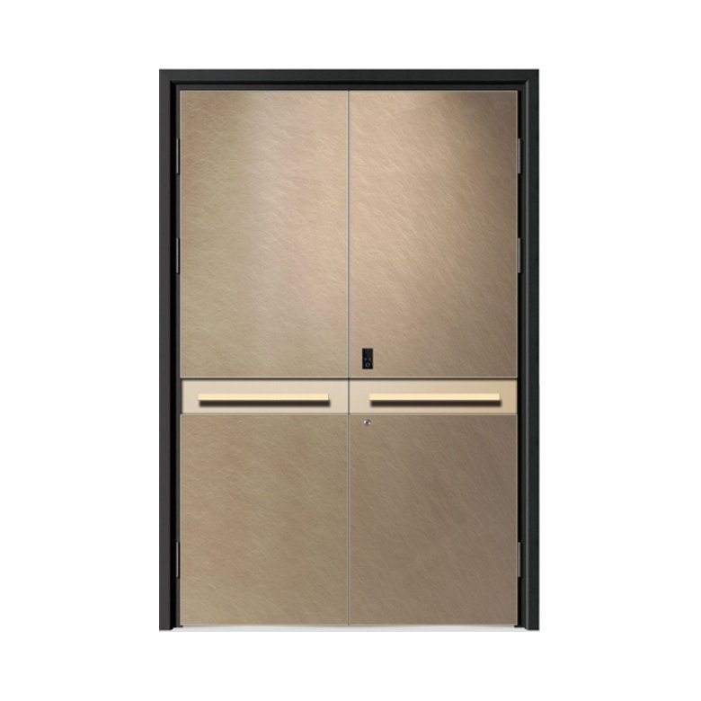 Double Swing Door
