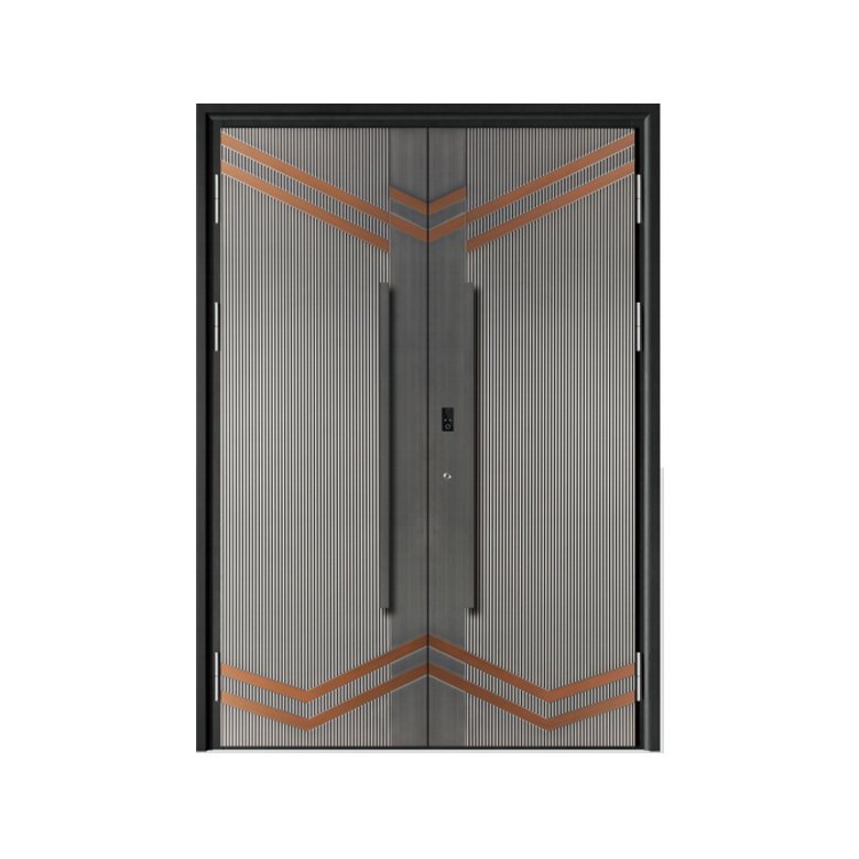 Double Swing Door