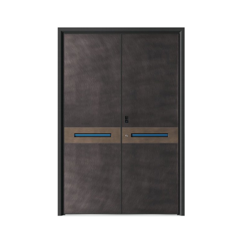 Double Swing Door