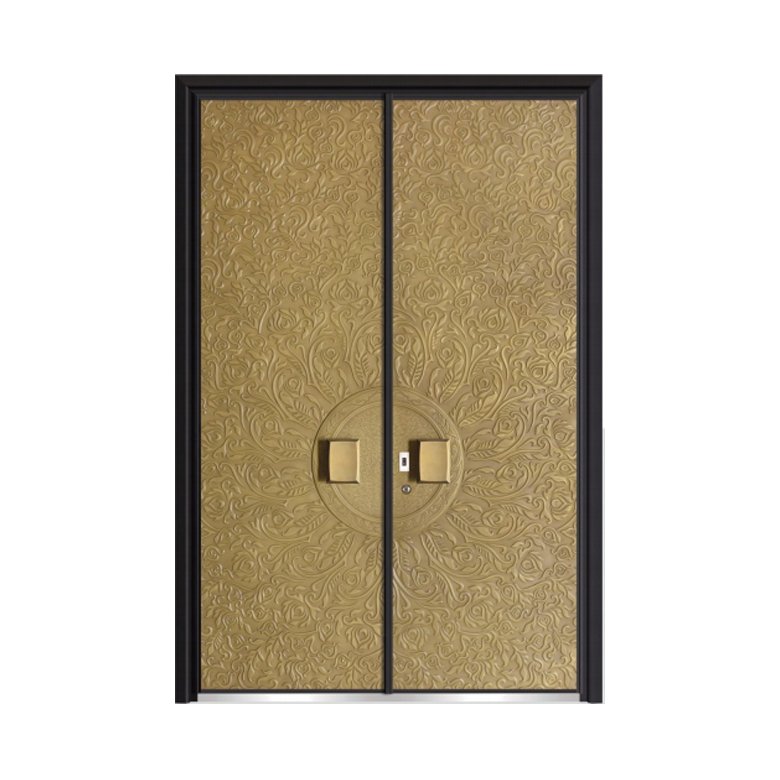 Double Swing Door