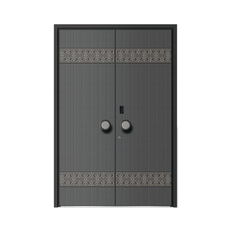 Double Swing Door
