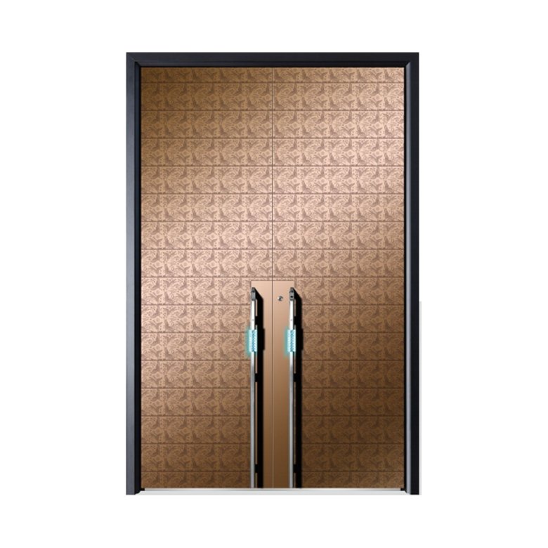 Double Swing Door