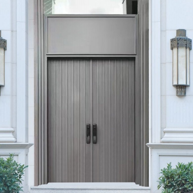 Double Swing Door