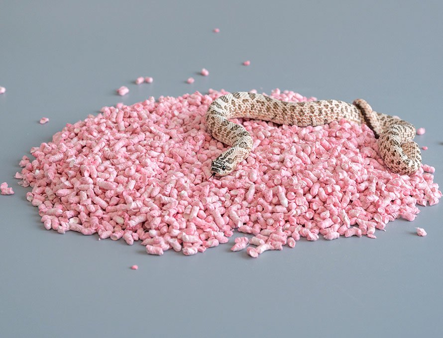 Colorful non-clumping paper pet litter