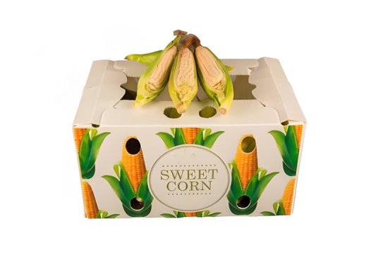Cajas de plástico PP para envasar verduras