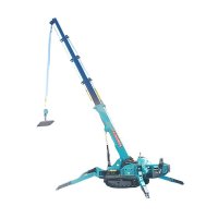 5 Ton Spider Crane 