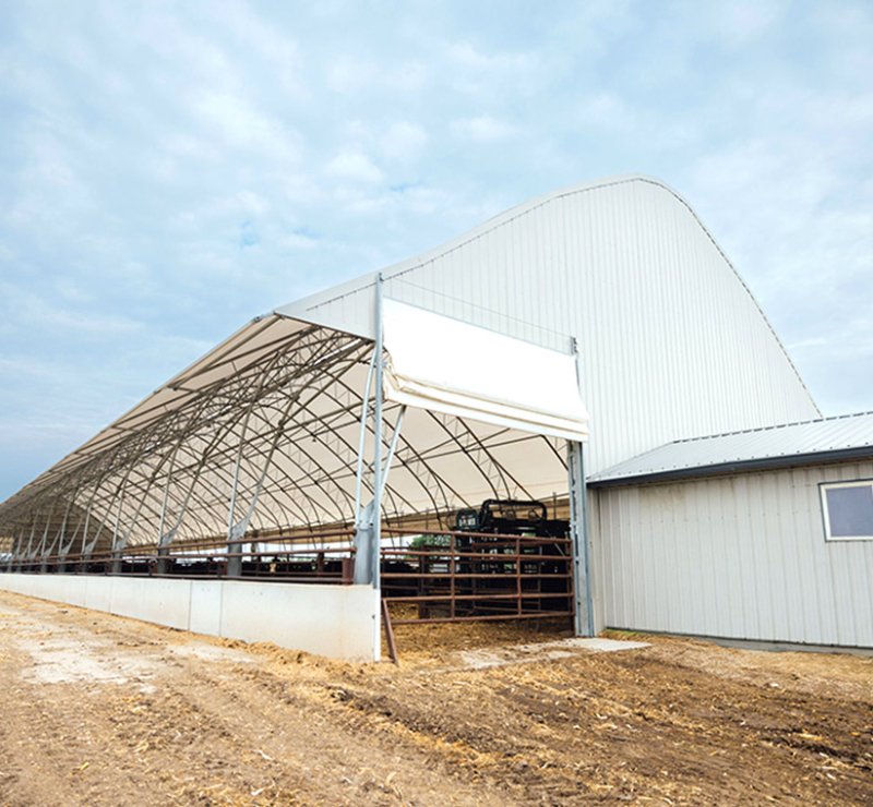 Bâtiment agricole en acier pour l'élevage de vaches laitières
