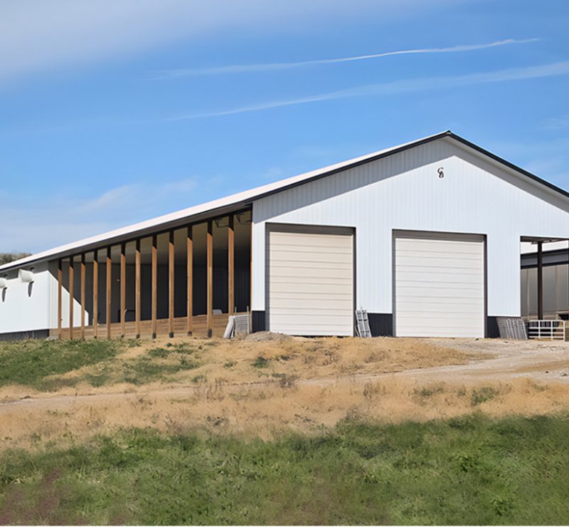 Structure en acier Q235/Q355 préfabriquée de haute qualité et robuste pour étable à vaches laitières et bâtiment agricole à haute résistance.