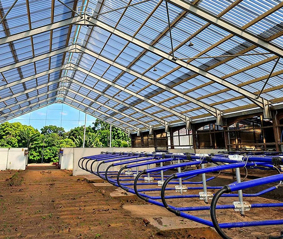 Bâtiment préfabriqué de structure métallique de grange d'équitation de bâtiment de ferme de vache laitière de bétail hangars agricoles de mouton et de chèvre