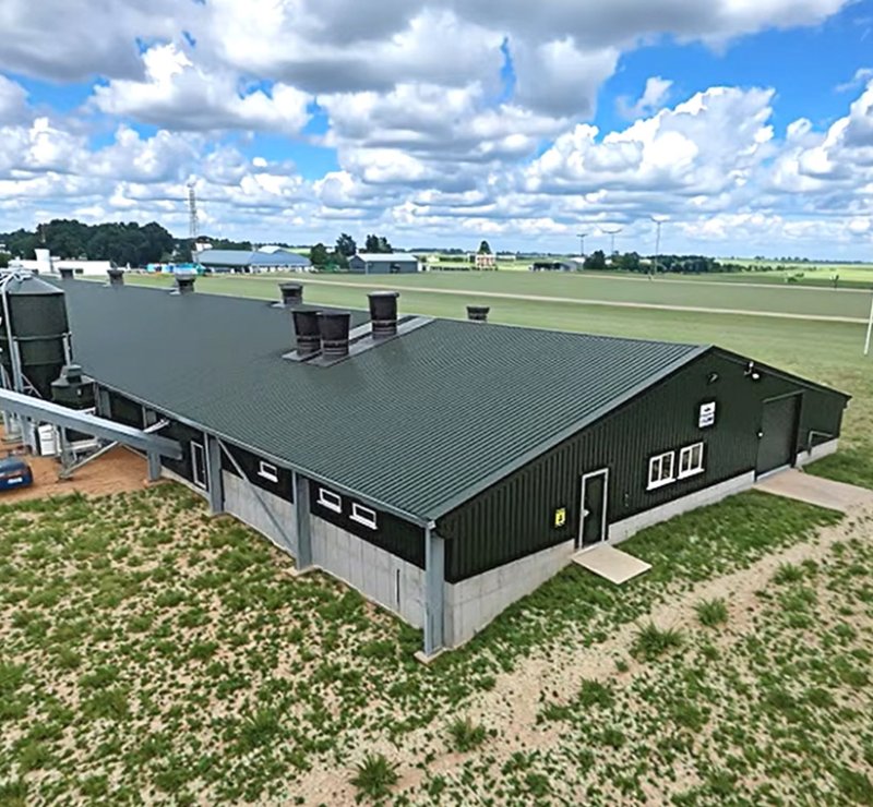 Poulailler professionnel à structure métallique pour élevage de poulets, grand poulailler