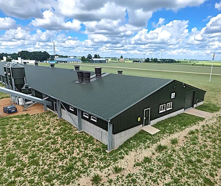 Poulailler professionnel à structure métallique pour élevage de poulets, grand poulailler