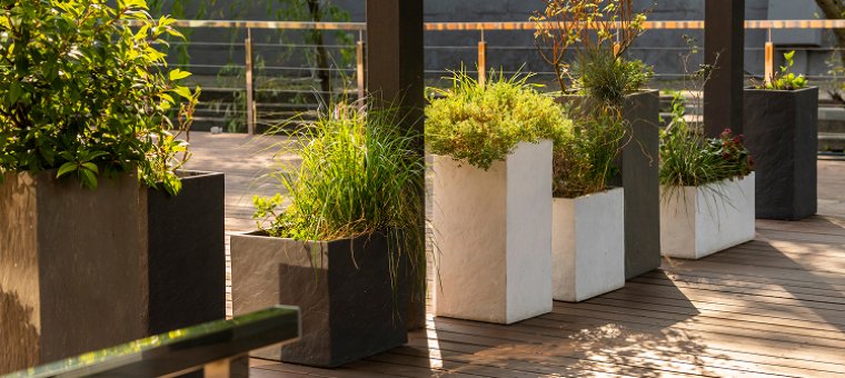 Metal Flower Planter