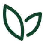 Stewards of the Environment