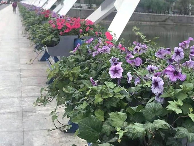 Municipal guardrails