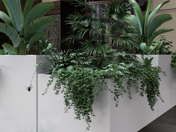 Upscale residential area