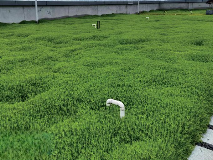 Shopping mall rooftop greening