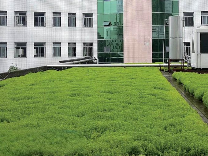 Hospital rooftop greening