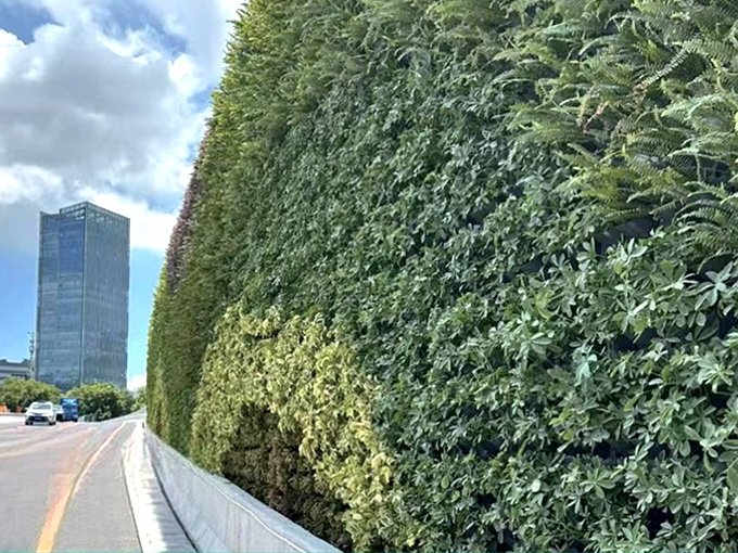 Slope protection plant wall