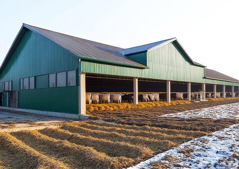 Agriculture & Livestock Industry Solutions
