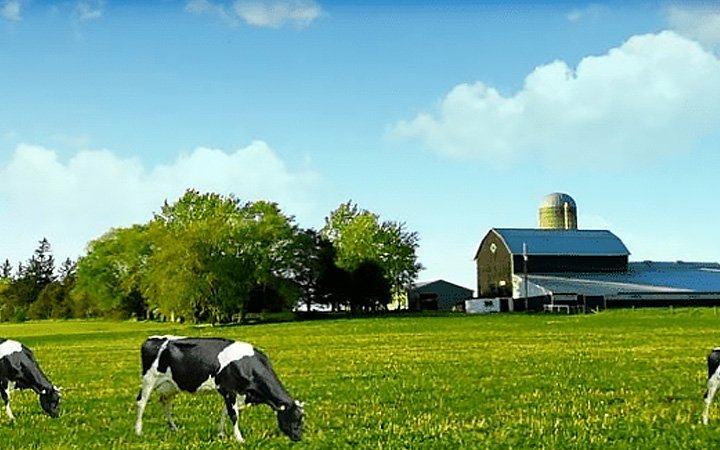 If you can't "reduce costs," then start with the details to "increase efficiency."