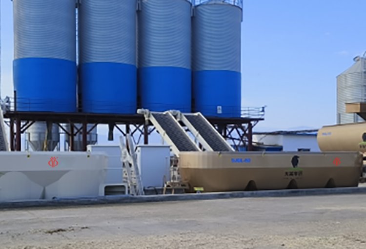 Xinjiang Tianlai Group