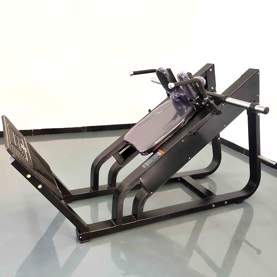 _0009_IMG_20240902_150701